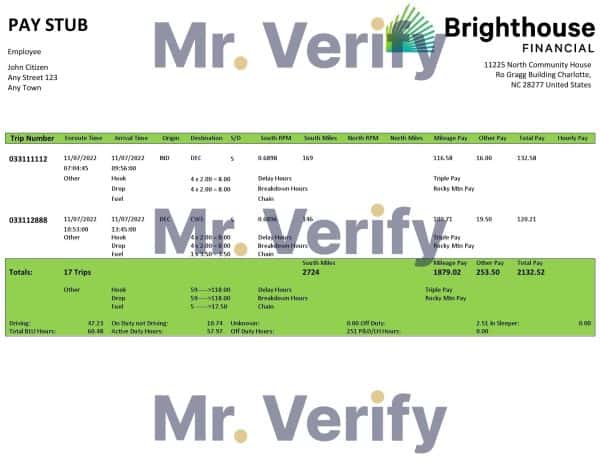 USA-Brighthouse-Financial-financial-company.jpg USA Brighthouse Financial financial company pay stub Word and PDF template