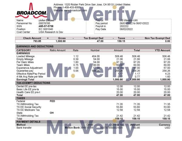 USA Broadcom semiconductor company pay stub Word and PDF template