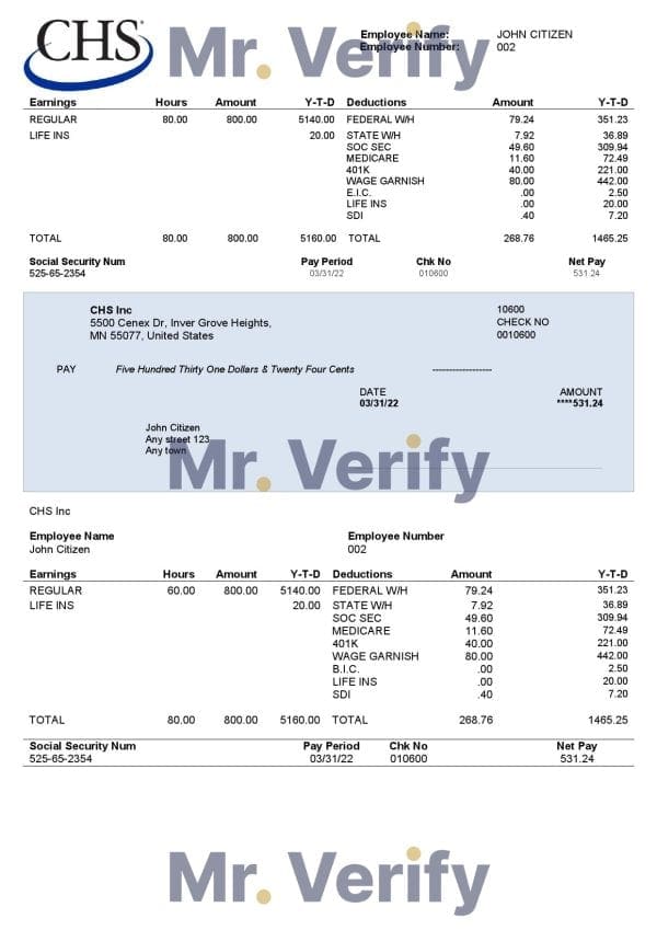 USA CHS Inc. agricultural company pay stub Word and PDF template