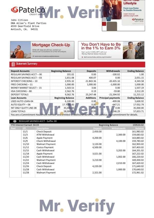 USA California Patelco Credit Union bank statement template in Word and PDF format