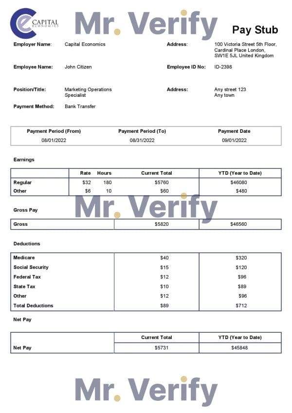 USA-Capital-Economics-economic-company.jpg USA Capital Economics economic company pay stub Word and PDF template