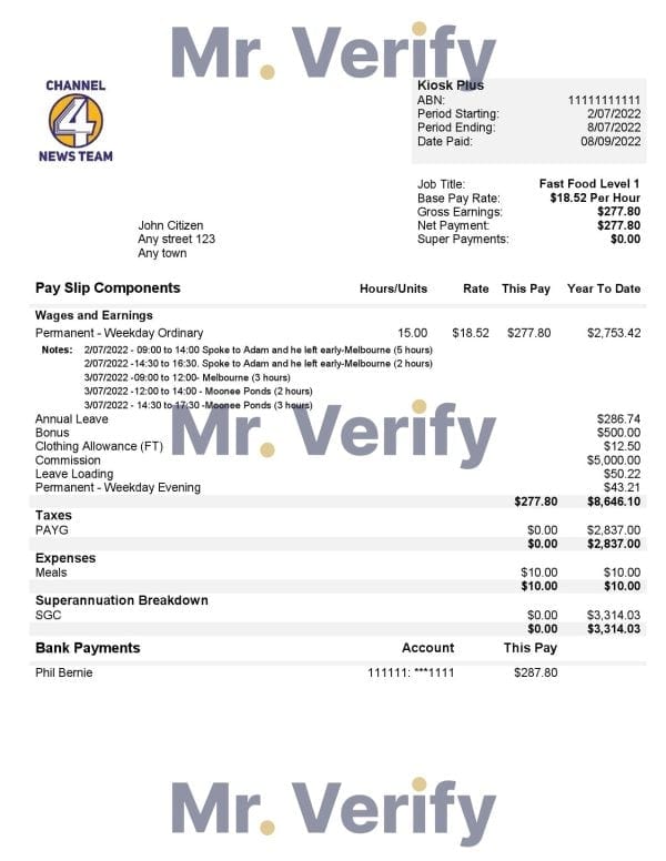 USA-Channel-News-Team-4-media-company.jpg USA Channel News Team 4 media company pay stub Word and PDF template