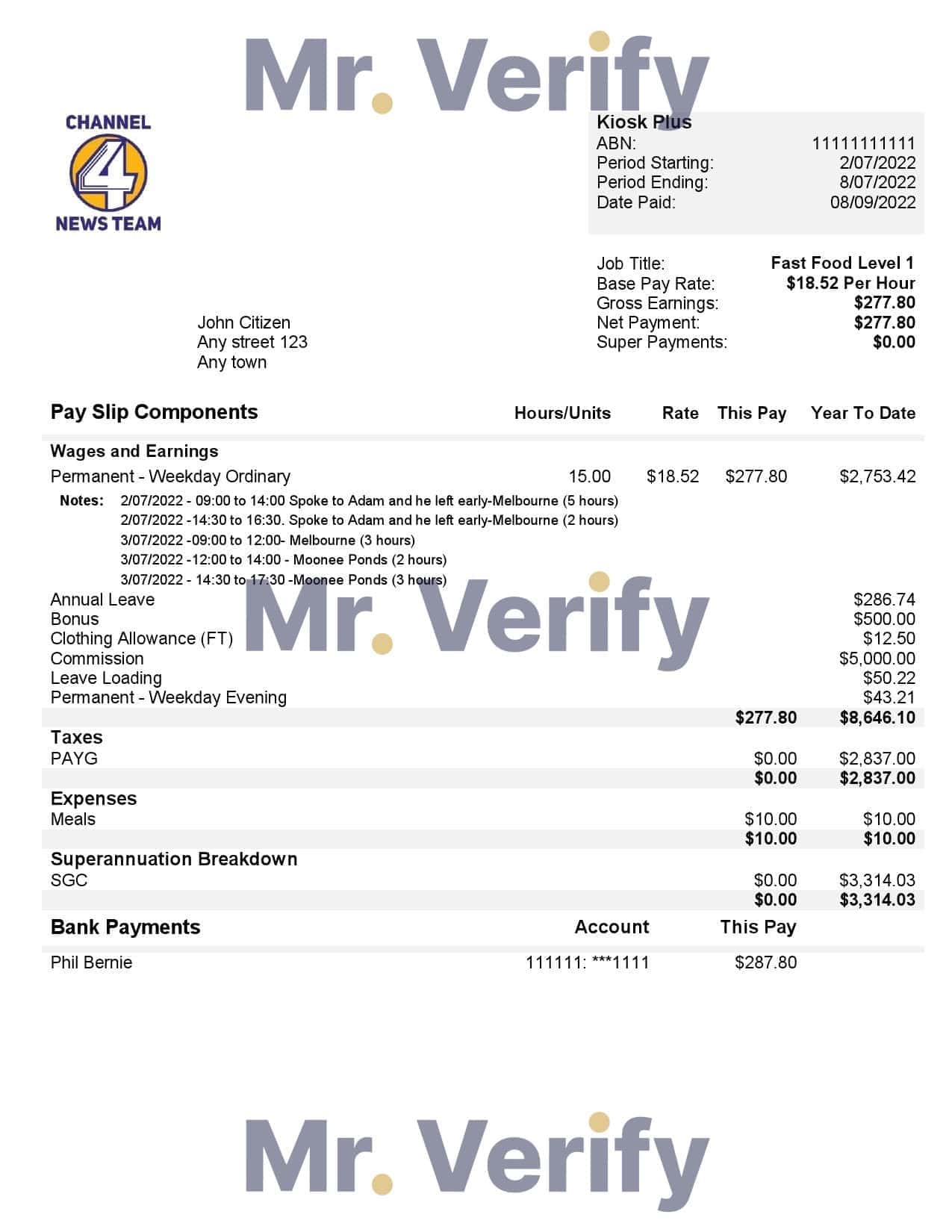 USA-Channel-News-Team-4-media-company.jpg USA Channel News Team 4 media company pay stub Word and PDF template
