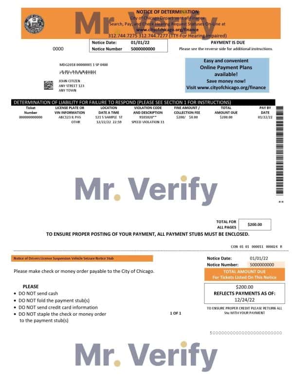 USA Chicago Notice of Determination pay stub Word and PDF template