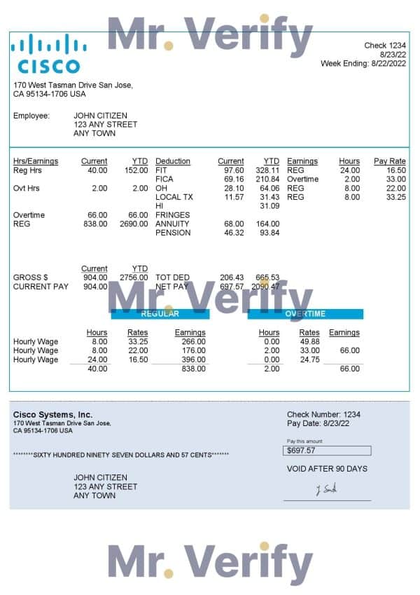 USA-Cisco-Systems-Inc.-hardware-company.jpg USA Cisco Systems, Inc. hardware company pay stub Word and PDF template