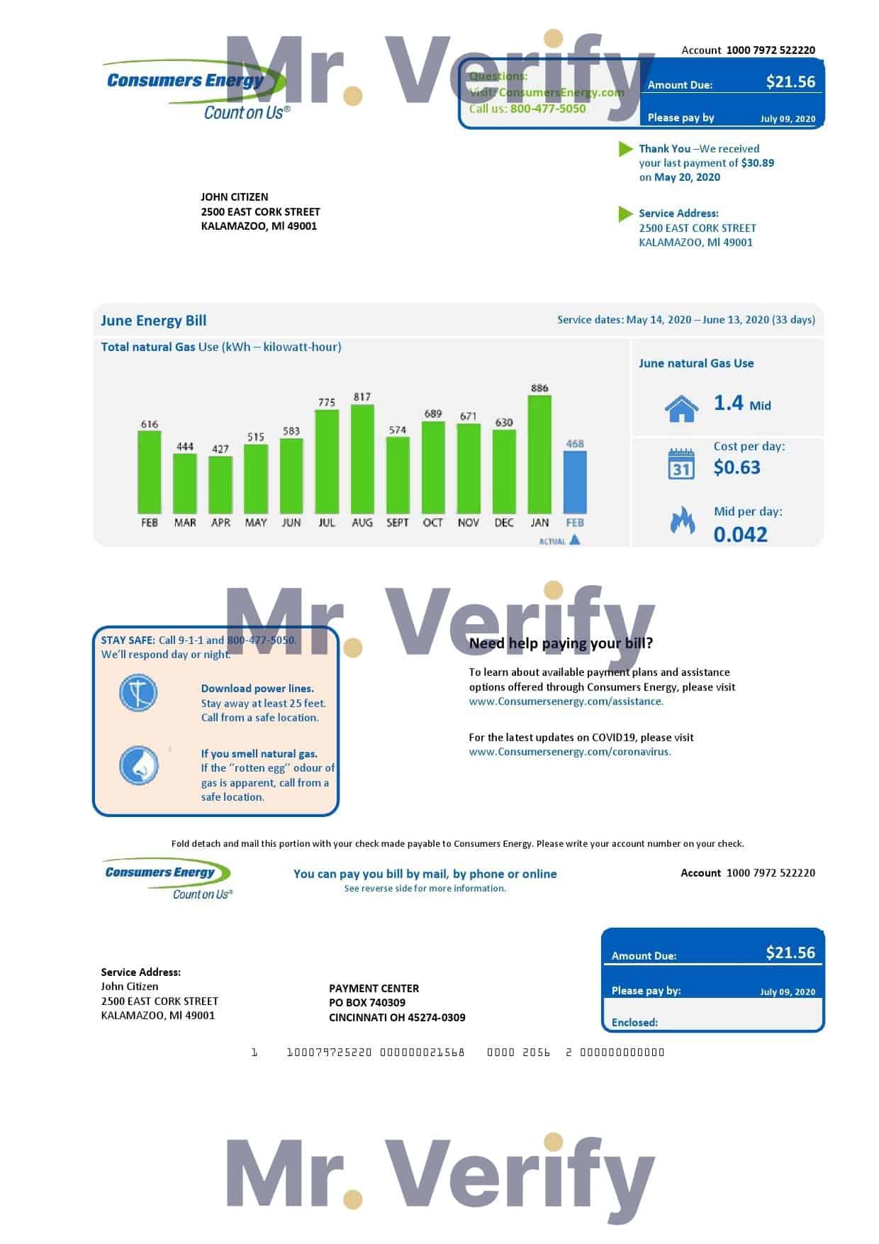 USA-Consumers-Energy.jpg USA Michigan Consumers Energy utility bill template in Word and PDF format
