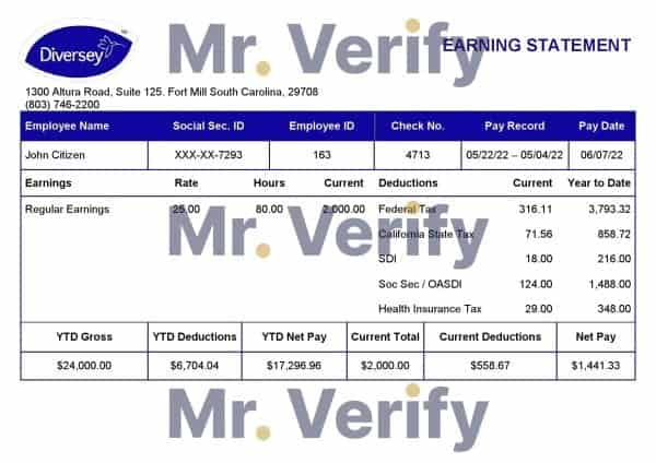 USA-Diversey-household-goods-company.jpg USA Diversey household goods company pay stub Word and PDF template
