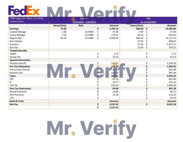 USA-Fedex-transportation-company.jpg USA Fedex transportation company pay stub Word and PDF template