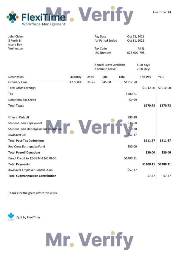 USA FlexiTime workforce management & payroll solutions invoice template in Word and PDF format, fully editable