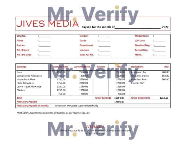 USA-Jives-Media-advertising-company.jpg USA Jives Media advertising company pay stub Word and PDF template
