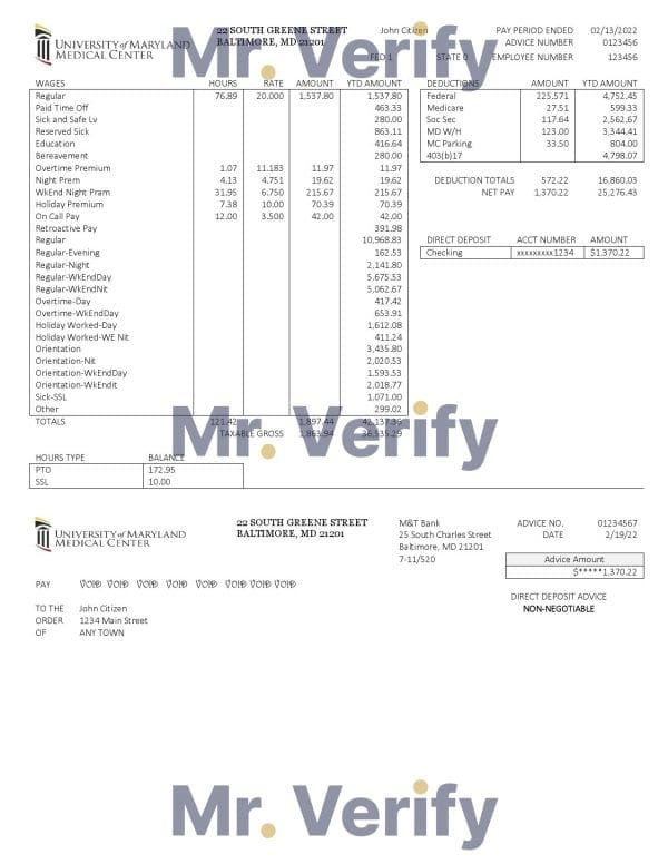 USA Maryland University of Maryland Medical Center pay stub Word and PDF template