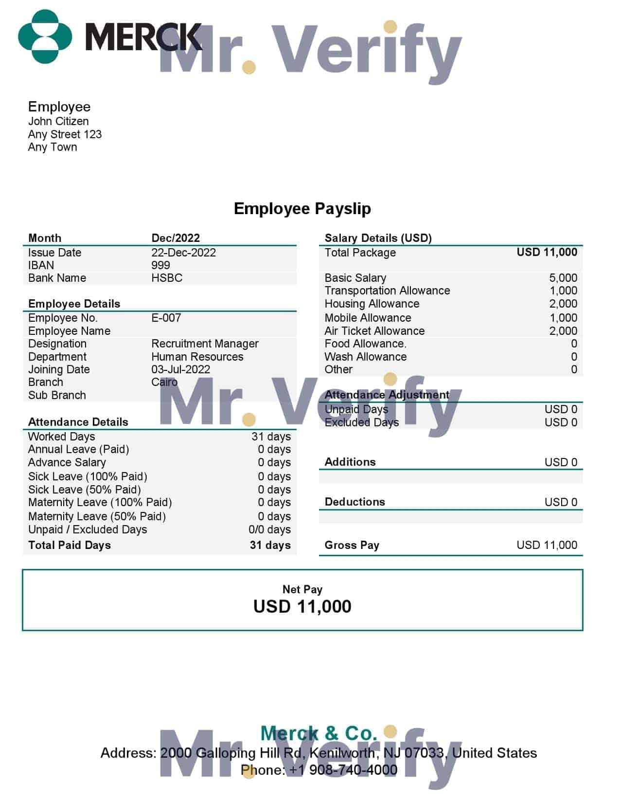 USA-Merck-Co.-pharmaceutical-company.jpg USA Merck & Co. pharmaceutical company pay stub Word and PDF template