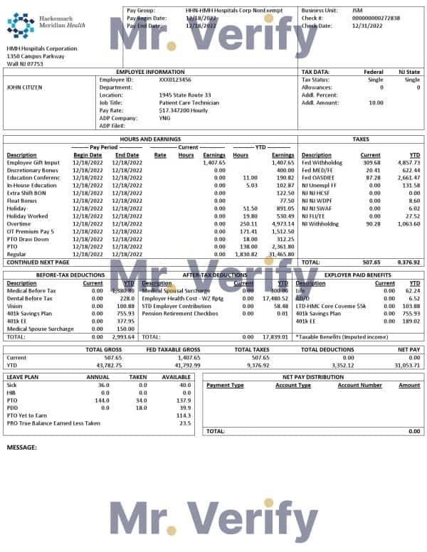 USA New Jersey Hackensack Meridian Health earnings statement Word and PDF template