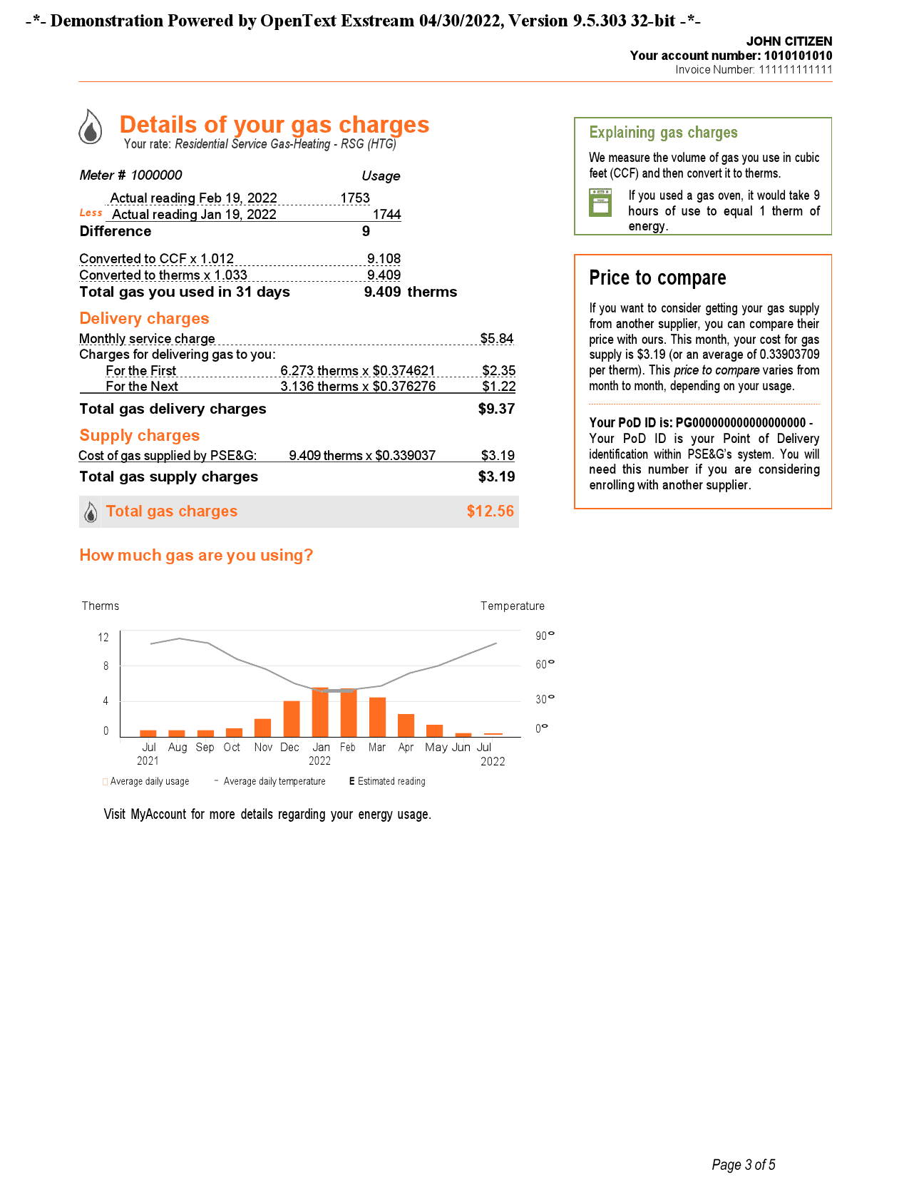 USA-New-York-PSEG-utility-2.png USA New York PSEG utility bill, Word and PDF template, 5 pages - Image 3