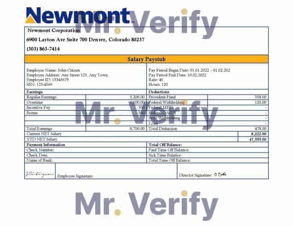 USA Newmont Corporation mining company pay stub Word and PDF template