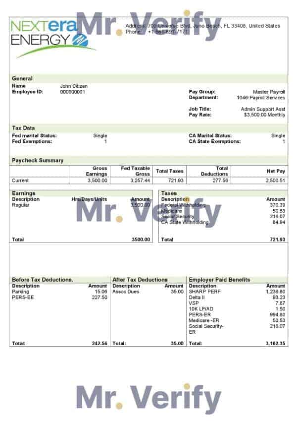 USA NextEra Energy electric company pay stub Word and PDF template