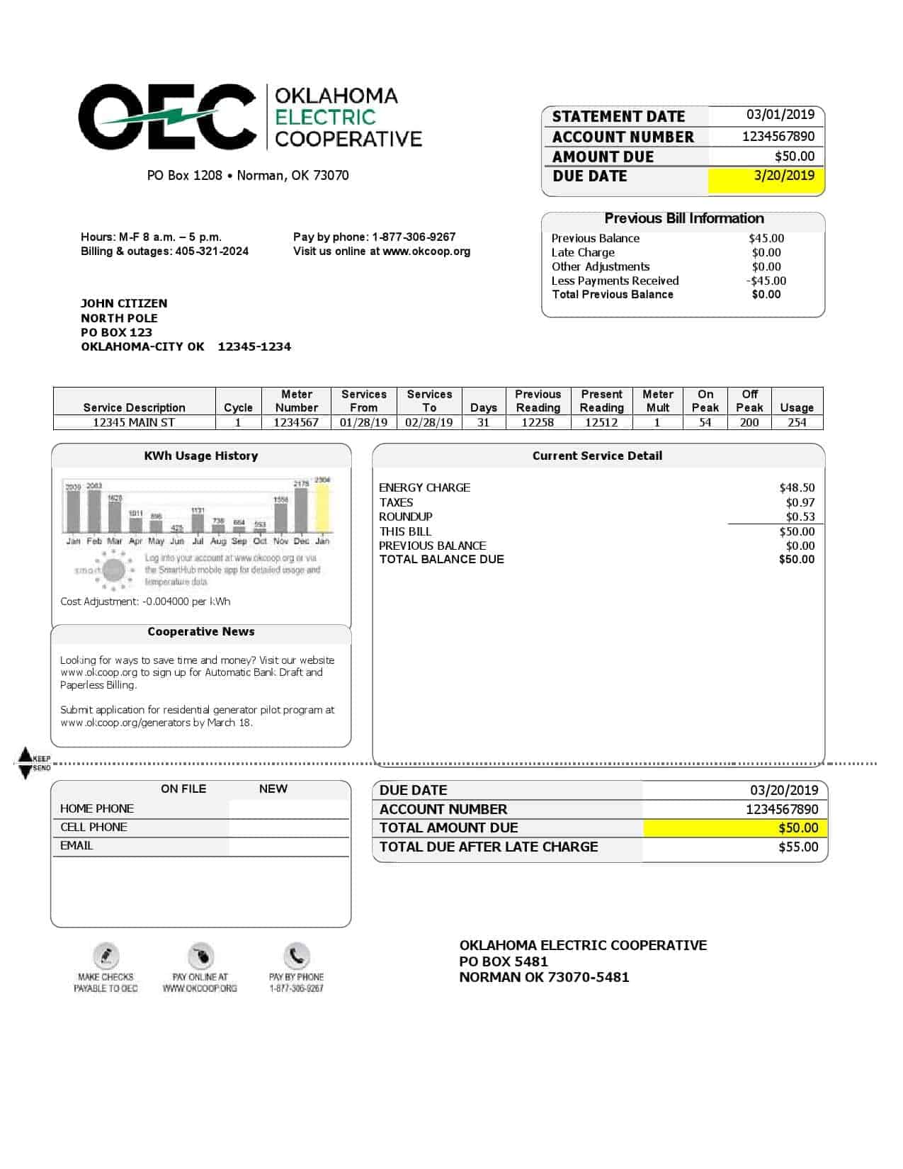 USA-OEC-electricity.jpg USA OEC electricity utility bill template in Word and PDF format