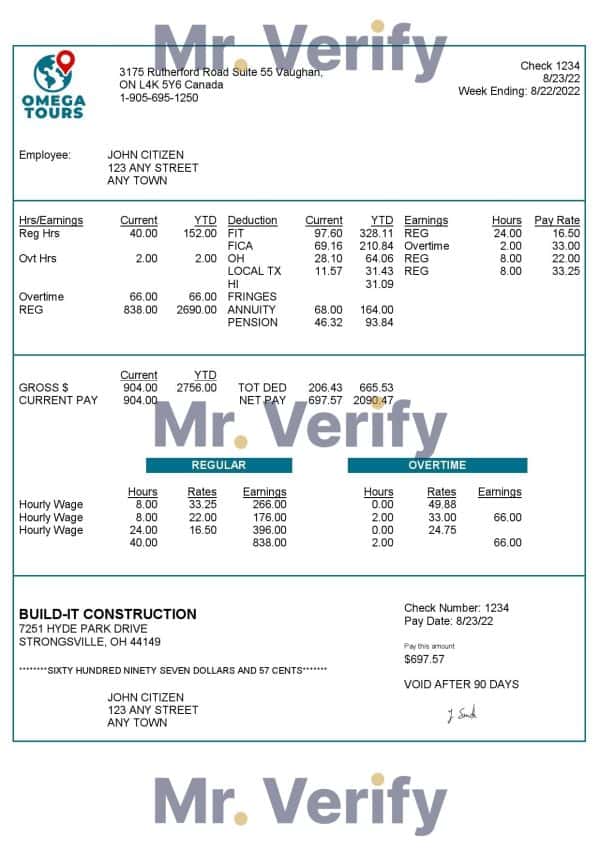 USA Omega Tours tourism company pay stub Word and PDF template