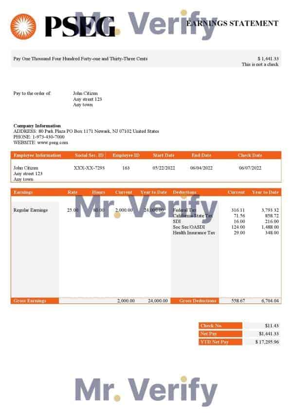 USA PSEG utilities company pay stub Word and PDF template