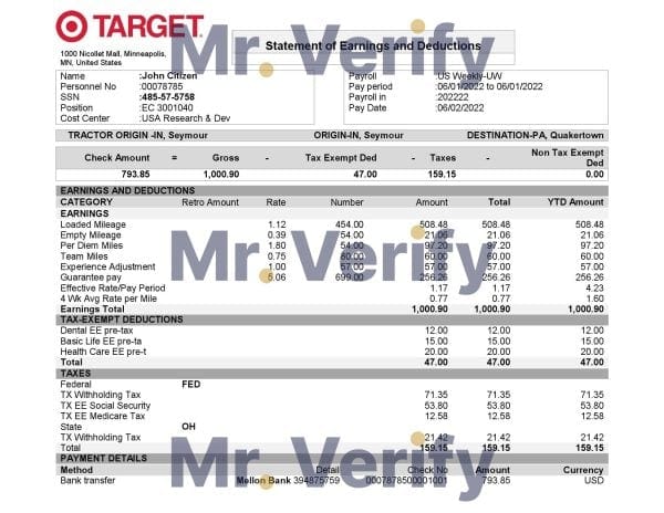 USA-Target-retail-company.jpg USA Target retail company pay stub Word and PDF template