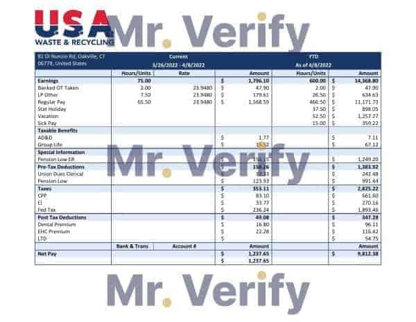 USA Waste & Recycling recycling company pay stub Word and PDF template