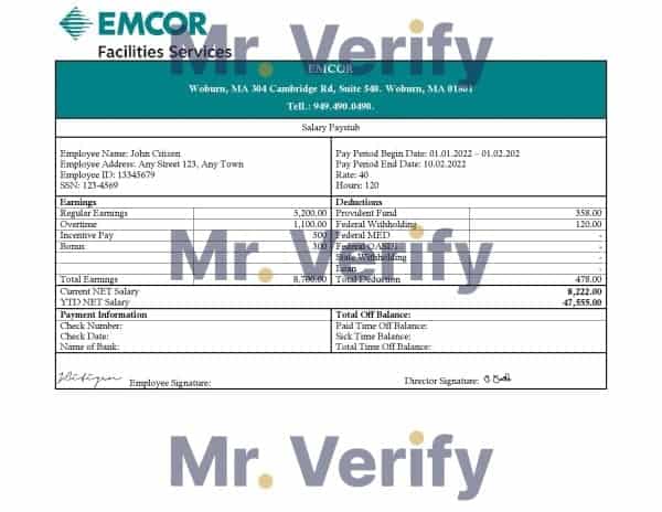 USA engineering company employee earning statement template in Word and PDF format