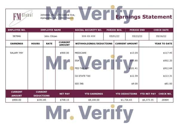 USA insurance company earning statement template in Word and PDF format