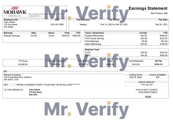 USA manufacturing company earning statement template in Word and PDF format