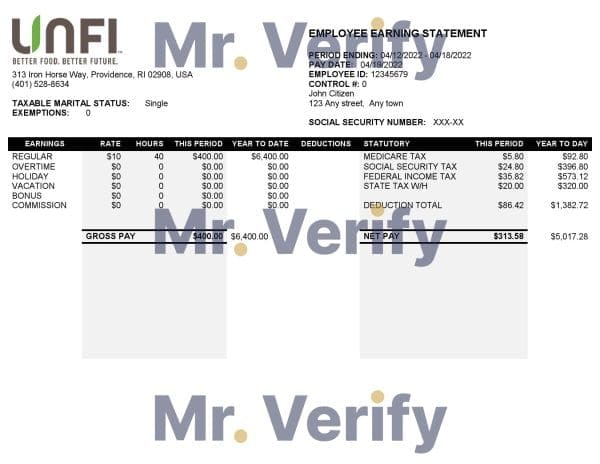 USA retail company earning statement template in Word and PDF format