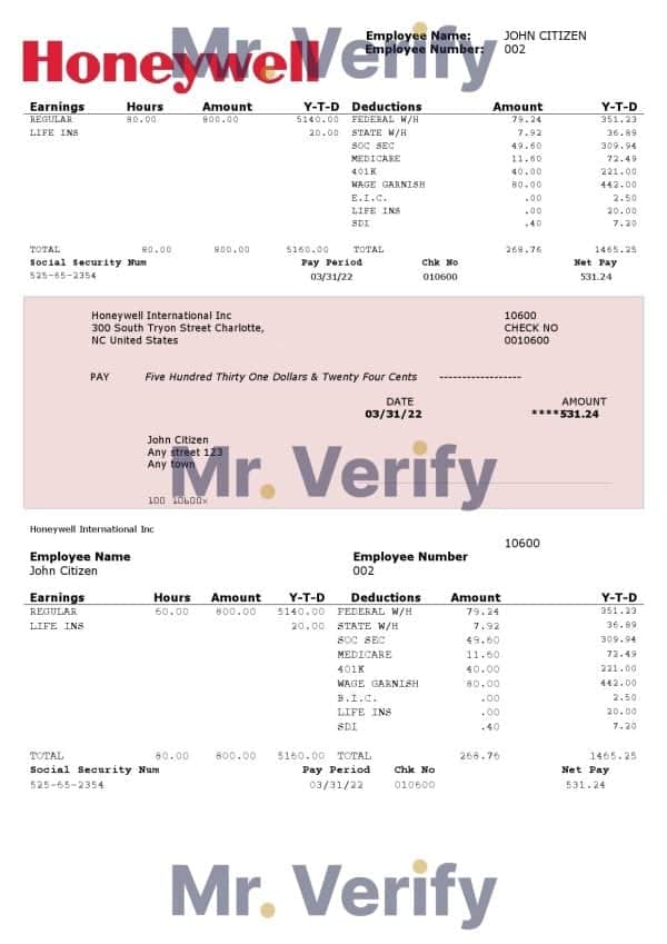 USA-software-company-employee-sheet.jpg USA Honeywell conglomerate company pay stub Word and PDF template