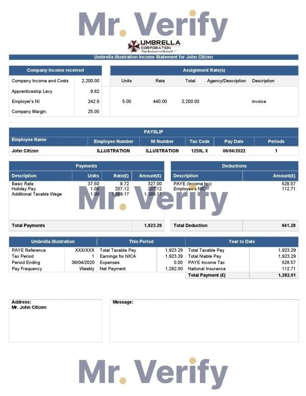 USA Umbrella pharmaceutical company pay stub Word and PDF template