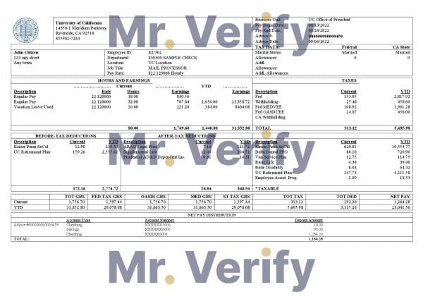 University-of-California-educational-company.jpg USA University of California educational company pay stub Word and PDF template