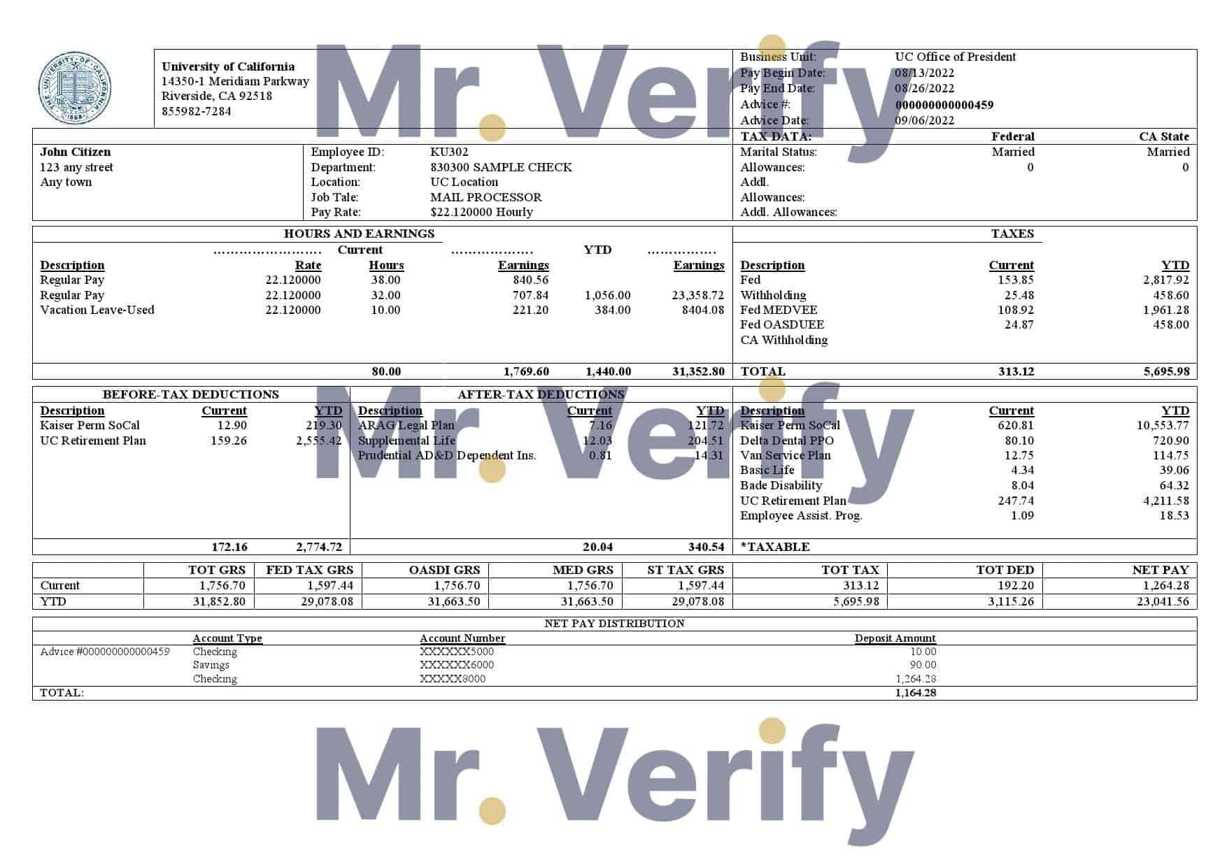 University-of-California-educational-company.jpg USA University of California educational company pay stub Word and PDF template