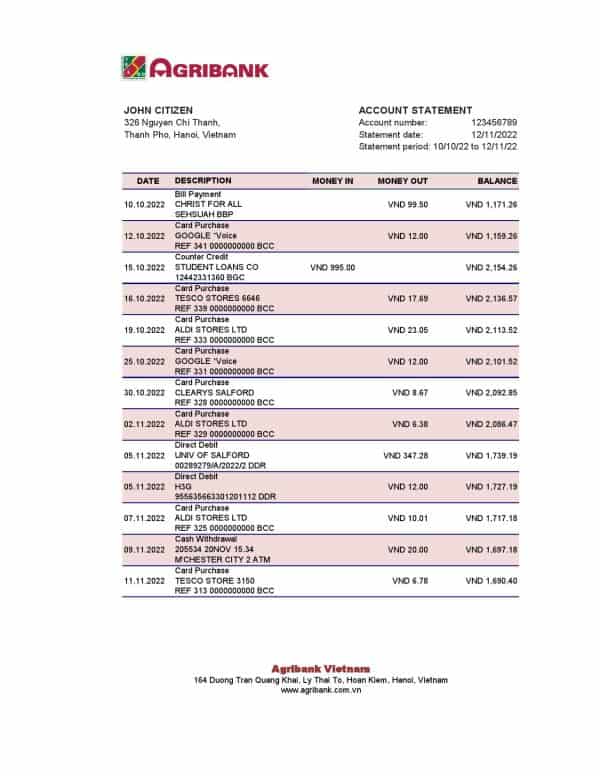 Vietnam Agribank bank statement, Excel and PDF template