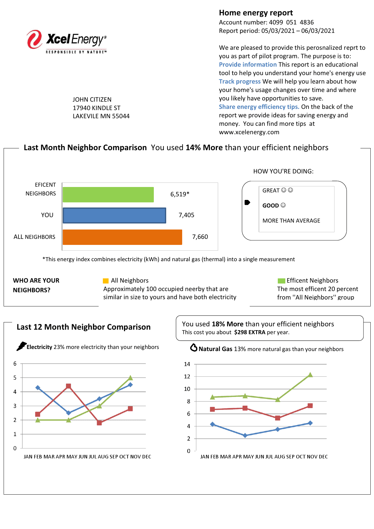 Xcel.png USA Minnesota Xcel Energy utility bill template in Word and PDF format (.doc and .pdf)