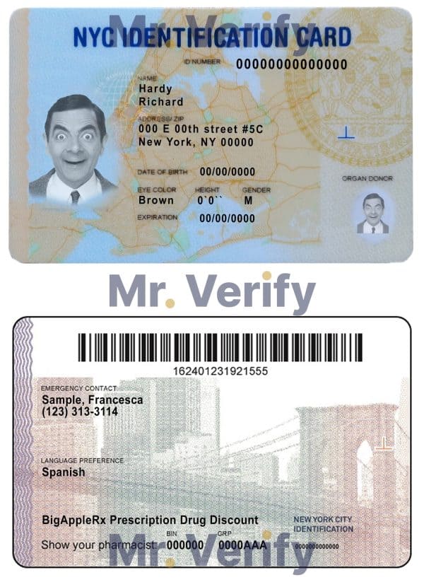 USA New York ID template in PSD format, fully editable