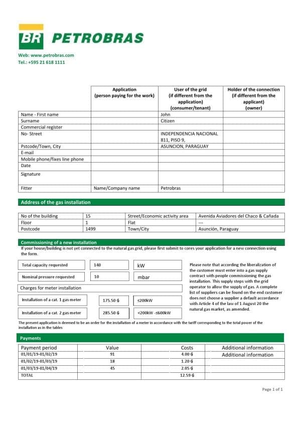 Paraguay Petrobras Paraguay Operations and Logistics gas company utility bill template in Word and PDF format