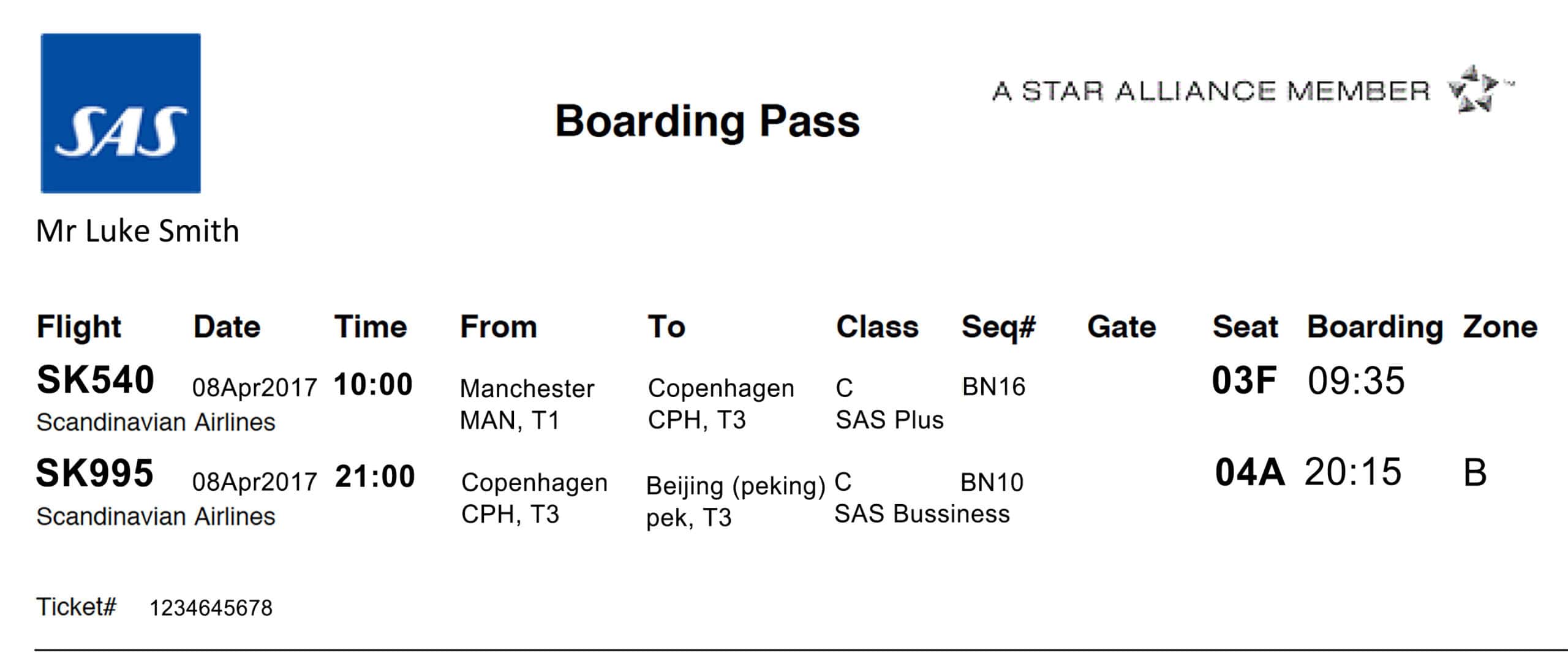 Fake SAS Airline Ticket