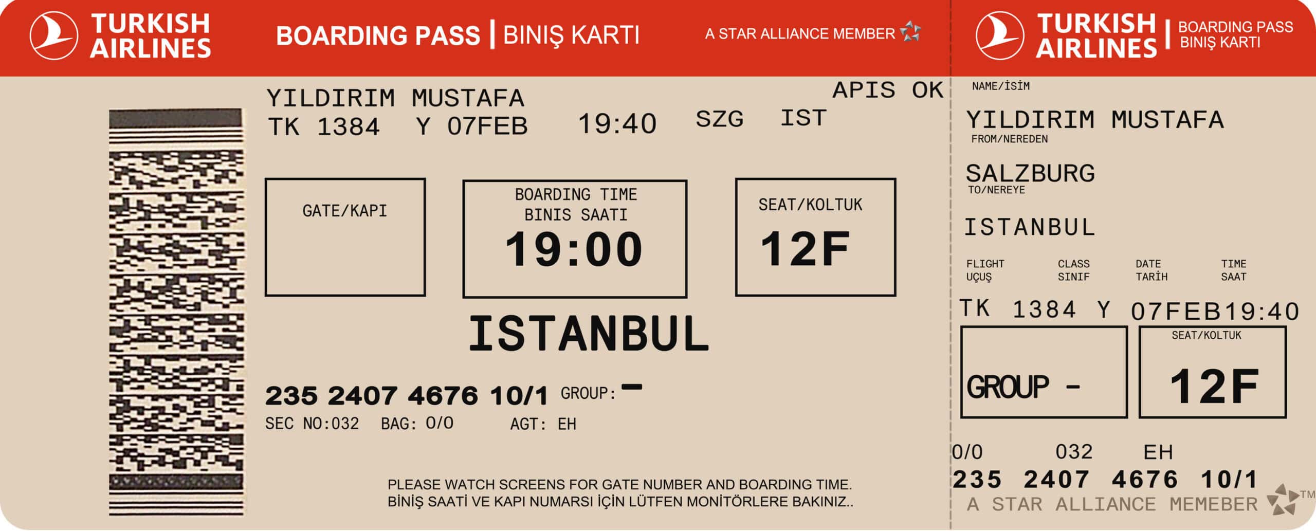 Fake Turkish Airline Ticket