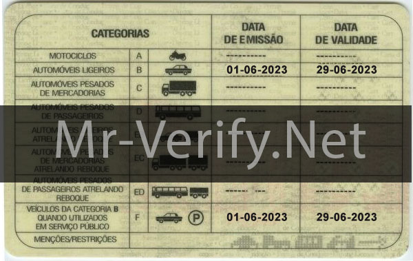 Cabo Verde Driver License Photoshop Template