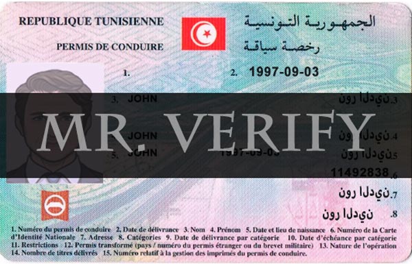 Tunisia driver license template