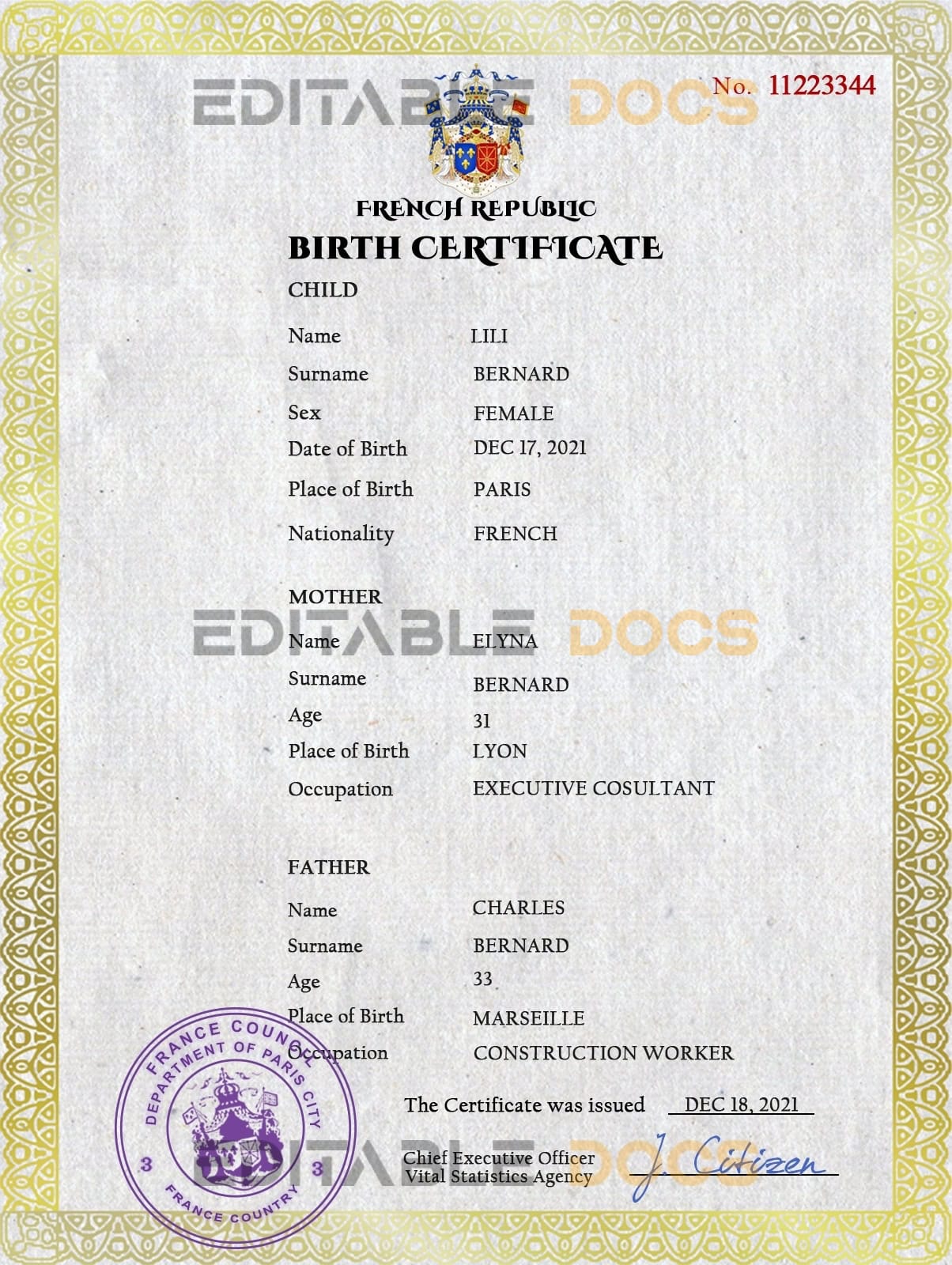 Authentic France Birth Certificate Template Customize and Download Online Authentic France Birth Certificate Template Customize and Download Online