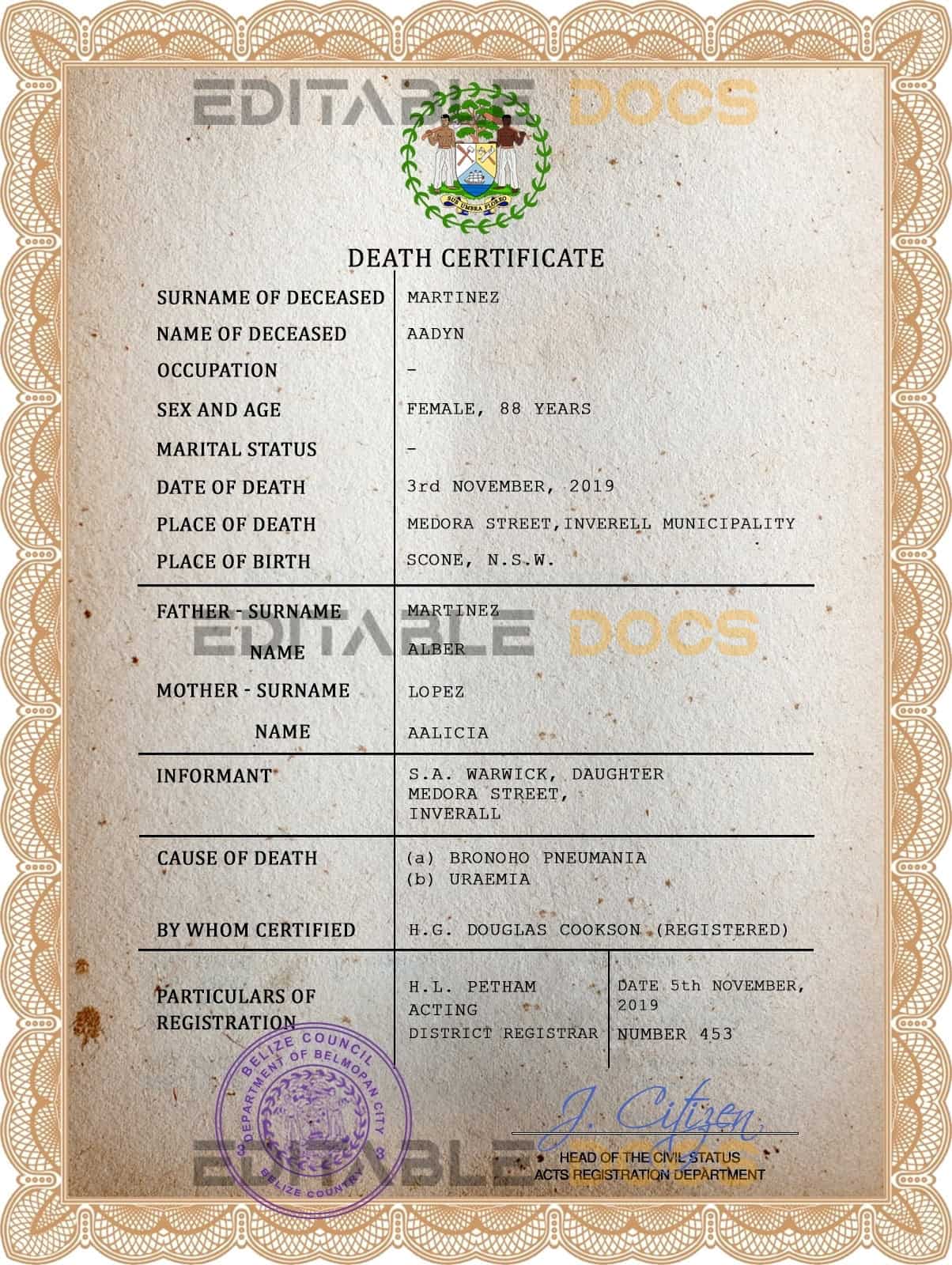 Belize-death-certificate-PSD-template-completely-editable.jpg Belize death certificate PSD template