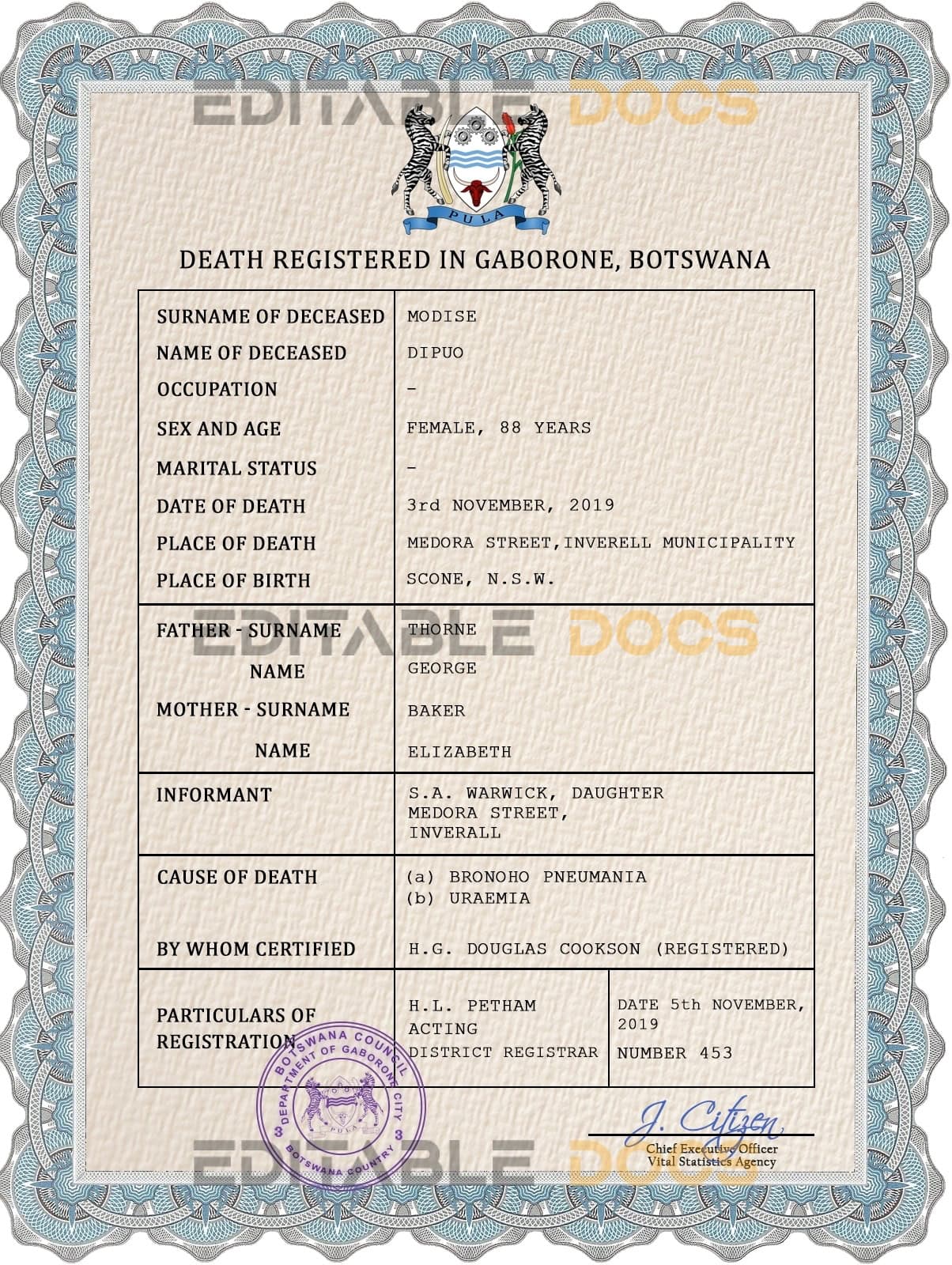 Botswana vital record death certificate PSD template Botswana vital record death certificate PSD template
