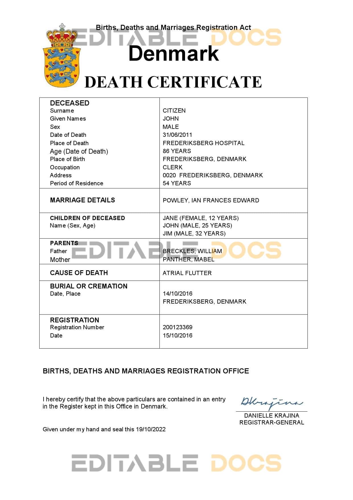 Denmark vital record death certificate Word and PDF template Denmark vital record death certificate Word and PDF template
