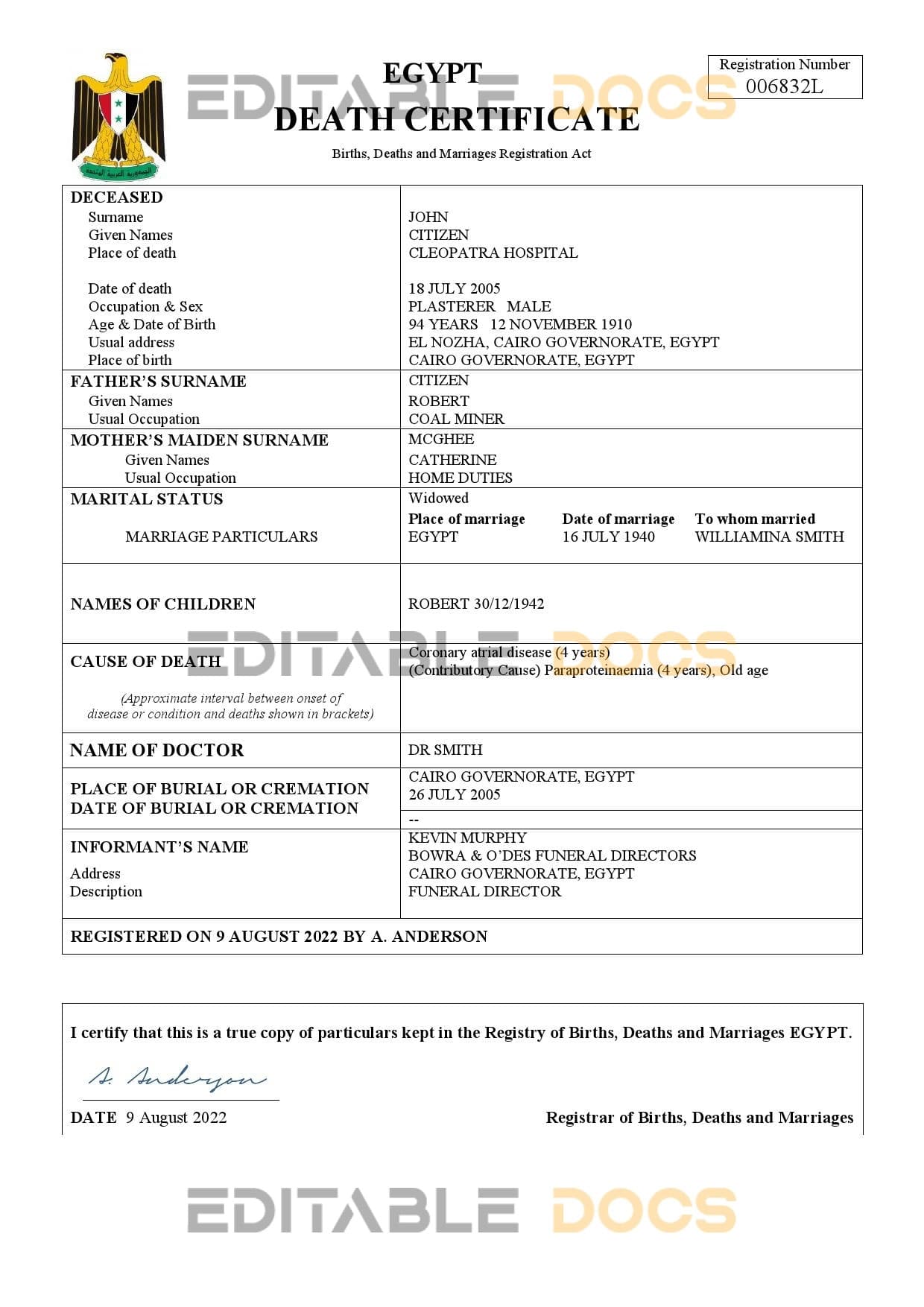 Egypt vital record death certificate Word and PDF template Egypt vital record death certificate Word and PDF template