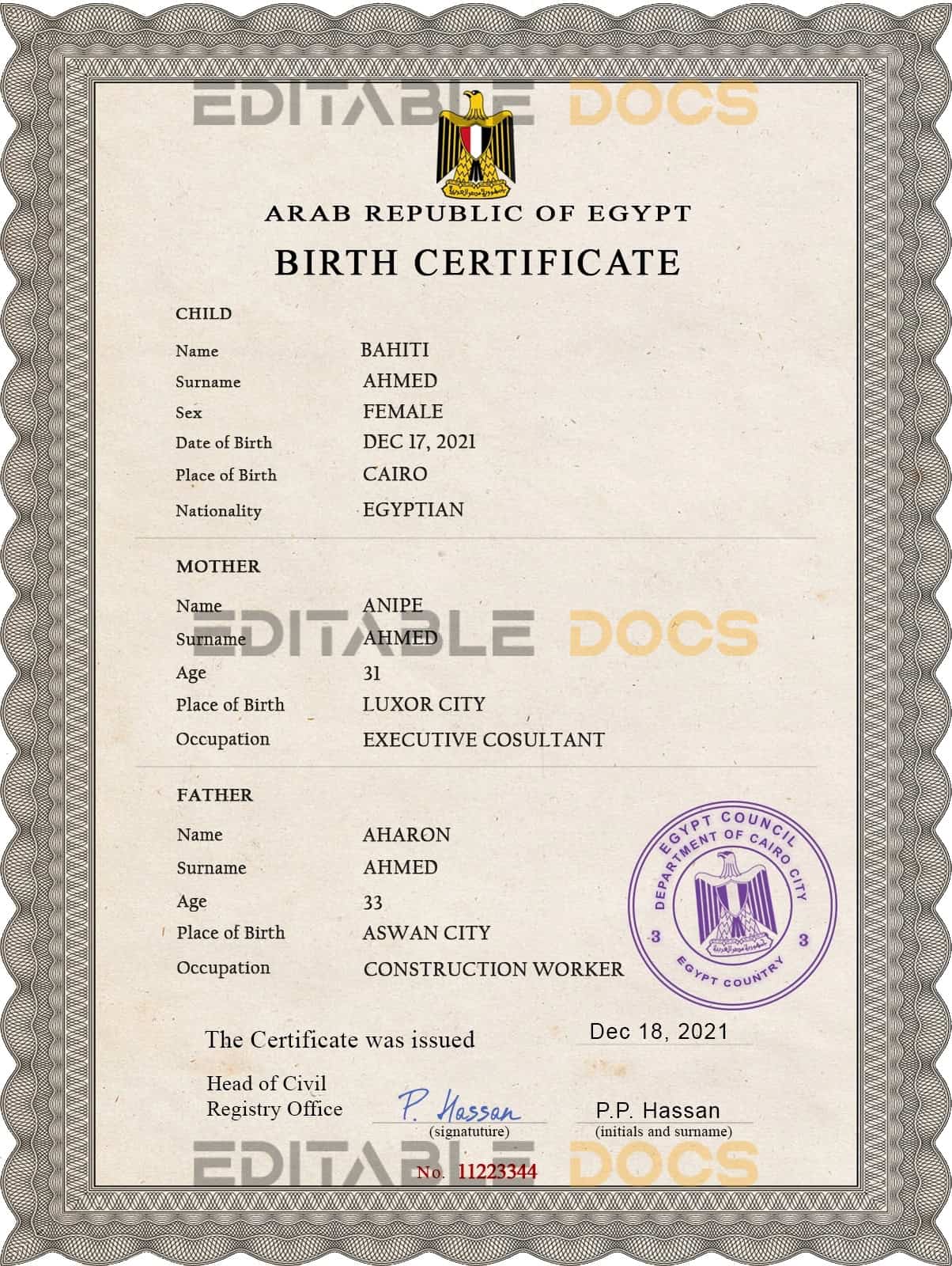 Egypt vital record birth certificate PSD template Authentic Egypt Birth Certificate Template | Customize and Download Online