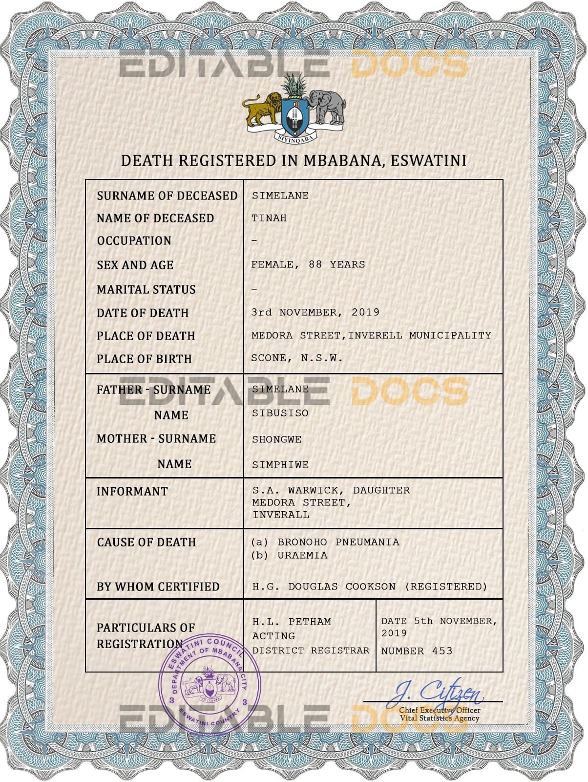 Eswatini-vital-record-death-certificate-PSD-template-completely-editable.jpg Eswatini vital record death certificate PSD template