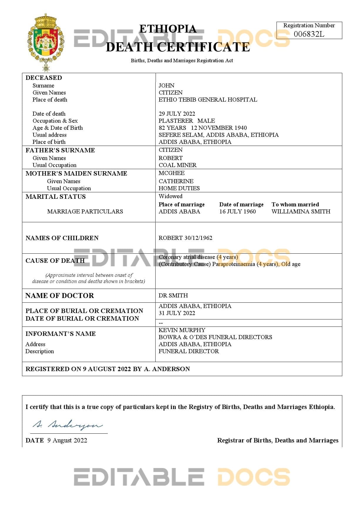 Ethiopia vital record death certificate Word and PDF template
