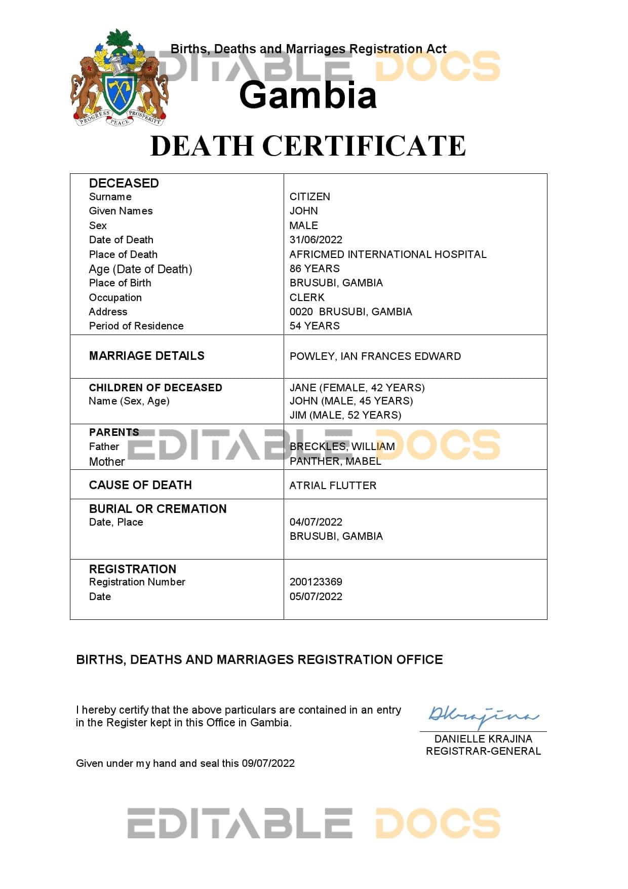 Gambia vital record death certificate Word and PDF template Gambia vital record death certificate Word and PDF template